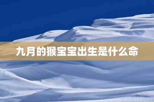 九月的猴宝宝出生是什么命