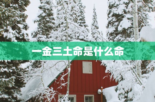一金三土命是什么命