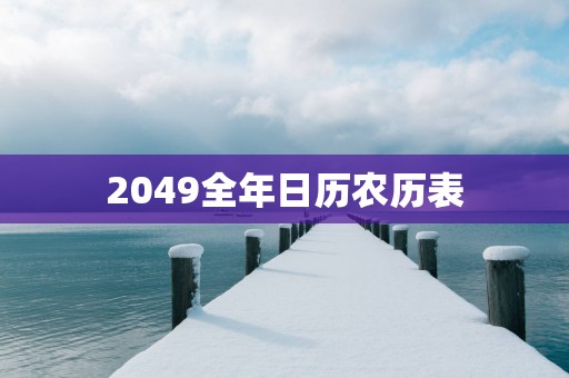 2049全年日历农历表