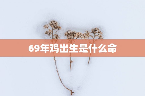 69年鸡出生是什么命