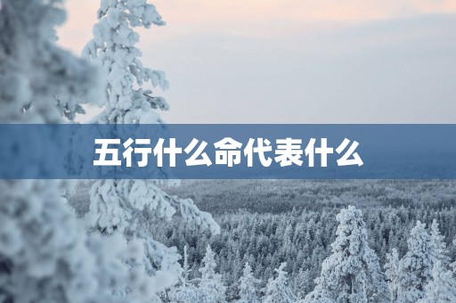 五行什么命代表什么