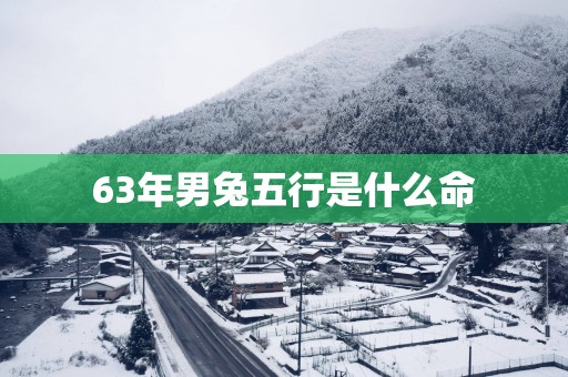 63年男兔五行是什么命