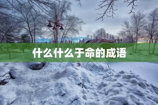 什么什么于命的成语