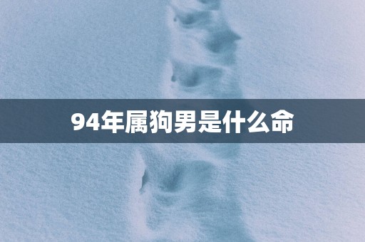 94年属狗男是什么命
