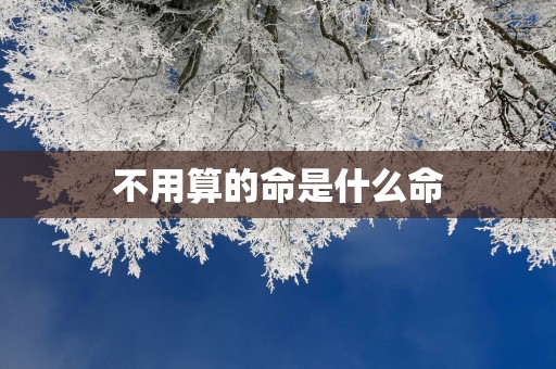 不用算的命是什么命