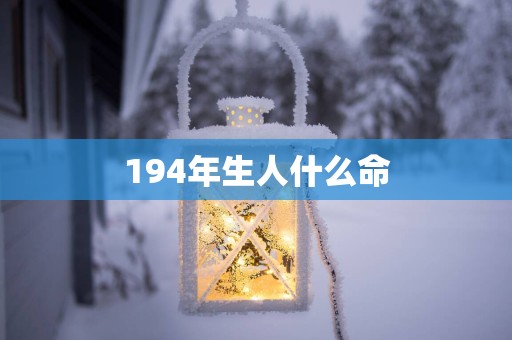 194年生人什么命