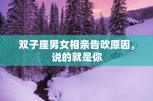 双子座男女相亲告吹原因，说的就是你