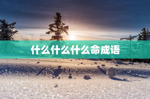 什么什么什么命成语