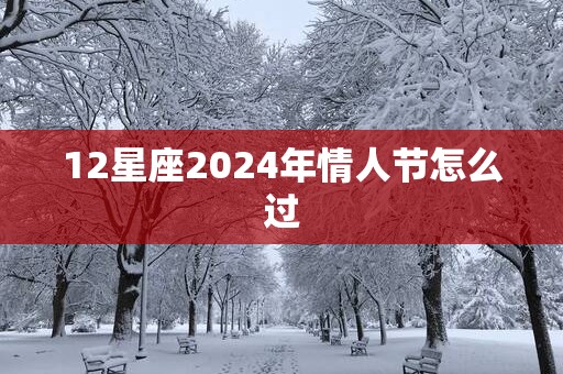 12星座2025年情人节怎么过