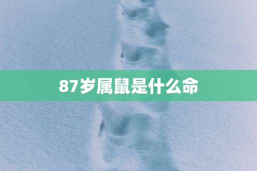 87岁属鼠是什么命