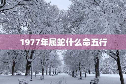 1977年属蛇什么命五行