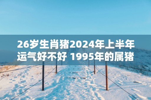 26岁生肖猪2025年上半年运气好不好 1995年的属猪人最新运势