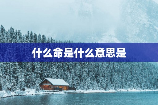 什么命是什么意思是
