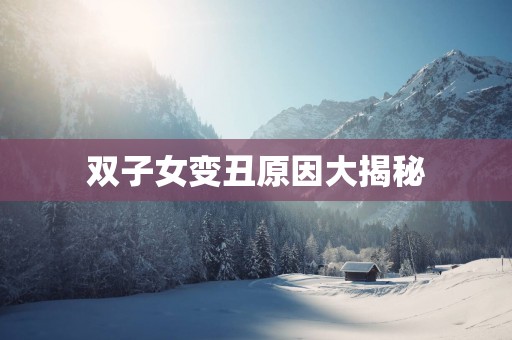 双子女变丑原因大揭秘