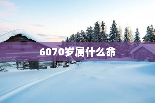 6070岁属什么命