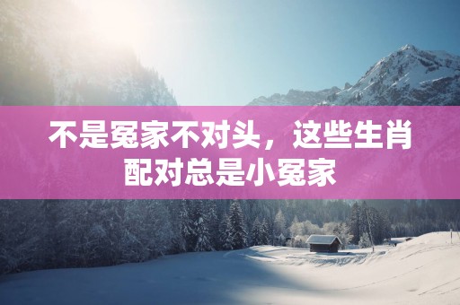 不是冤家不对头，这些生肖配对总是小冤家