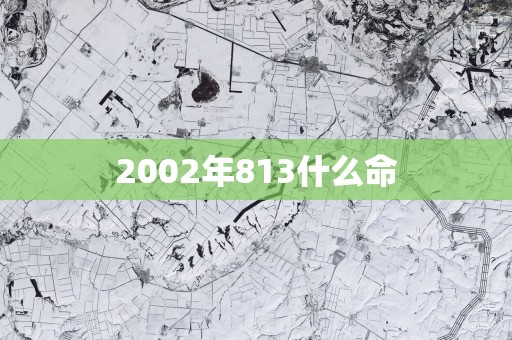 2002年813什么命
