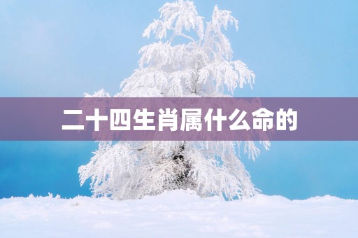 二十四生肖属什么命的