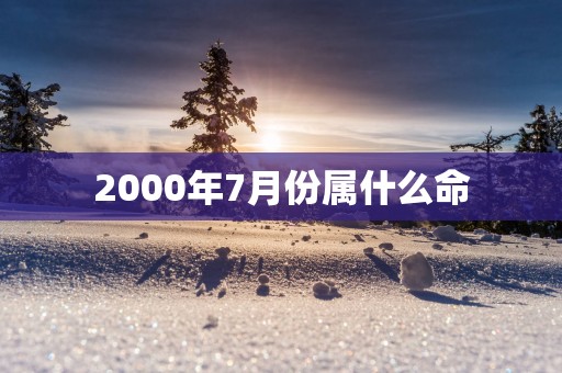 2000年7月份属什么命