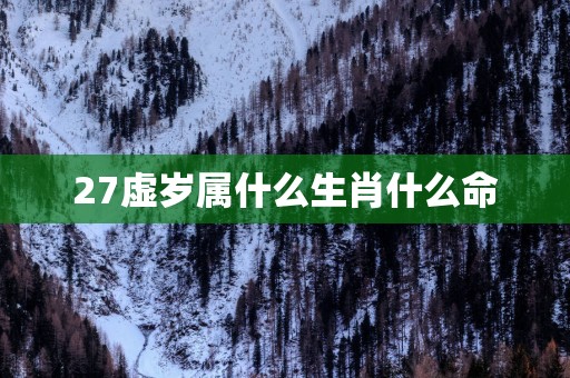 27虚岁属什么生肖什么命