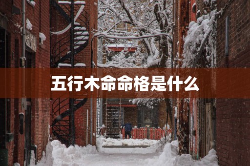 五行木命命格是什么