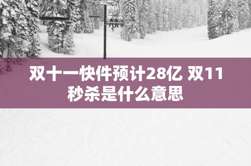 双十一快件预计28亿 双11秒杀是什么意思