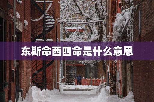 东斯命西四命是什么意思