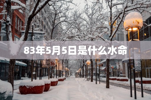 83年5月5日是什么水命