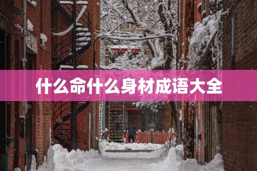 什么命什么身材成语大全