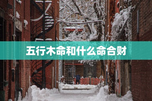 五行木命和什么命合财