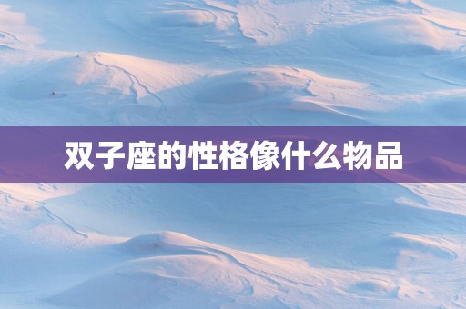 双子座的性格像什么物品
