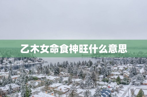 乙木女命食神旺什么意思