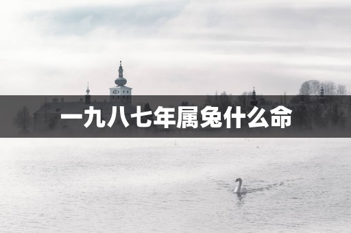 一九八七年属兔什么命