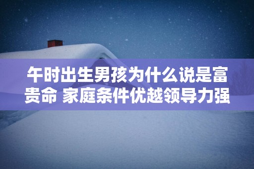 午时出生男孩为什么说是富贵命 家庭条件优越领导力强