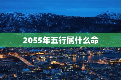 2055年五行属什么命