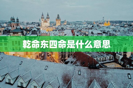 乾命东四命是什么意思