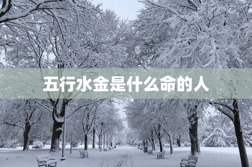 五行水金是什么命的人