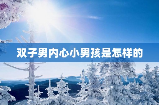 双子男内心小男孩是怎样的