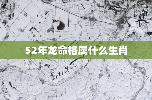 52年龙命格属什么生肖
