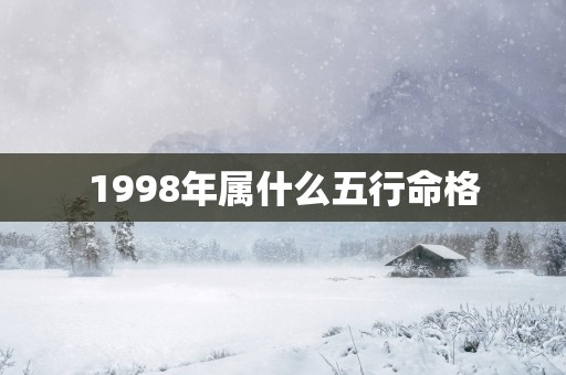 1998年属什么五行命格