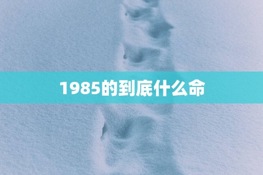 1985的到底什么命