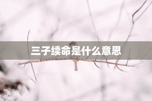 三子续命是什么意思