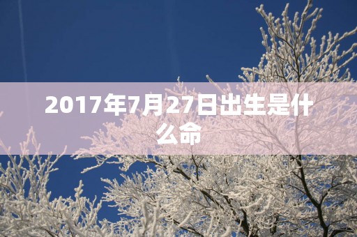 2017年7月27日出生是什么命