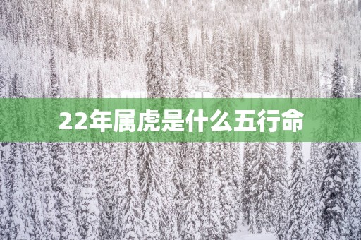 22年属虎是什么五行命