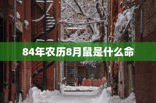 84年农历8月鼠是什么命