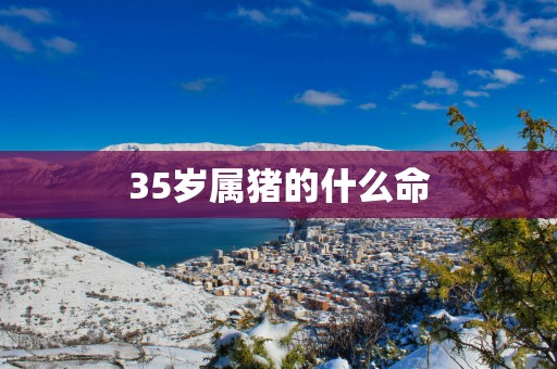 35岁属猪的什么命