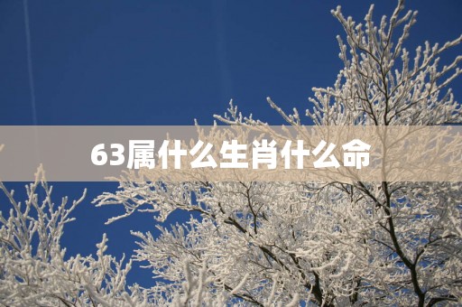 63属什么生肖什么命