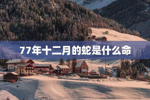 77年十二月的蛇是什么命