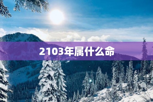 2103年属什么命