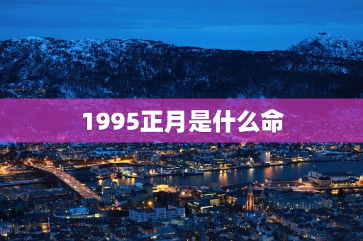 1995正月是什么命